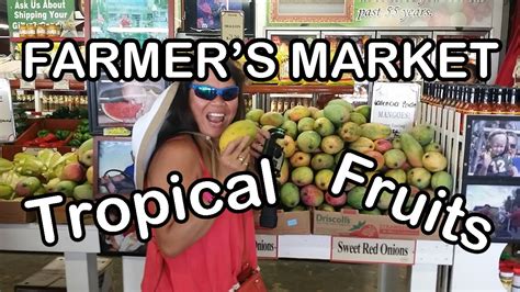 We offer farm tours for 12. . Tropical fruit farm for sale in homestead florida